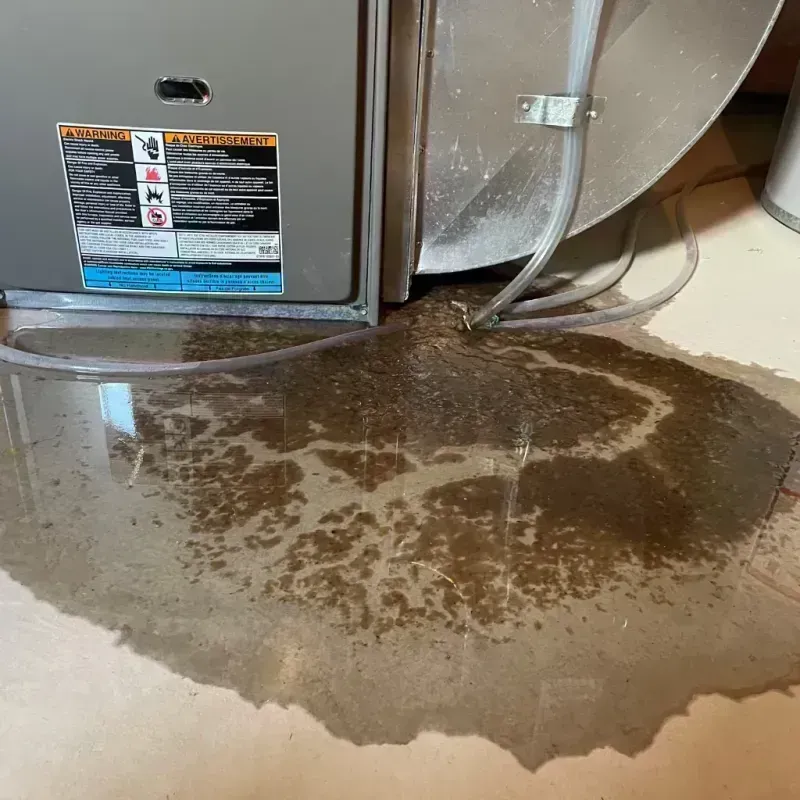 Appliance Leak Cleanup in Gunnison, CO